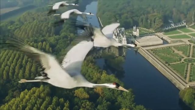 И в аду возможен рай.  И осень может стать весной.  (Ефрем Амирамов)