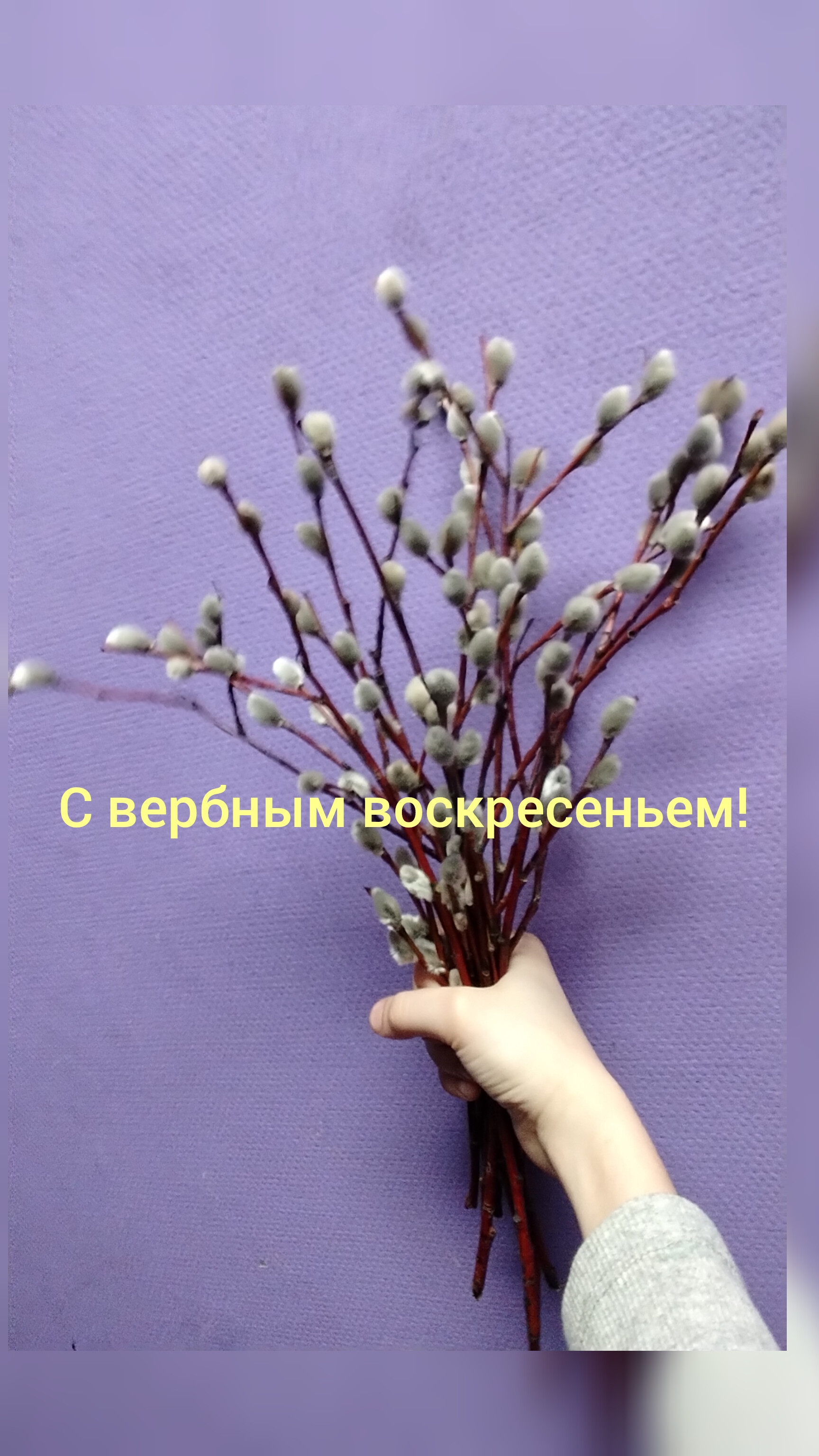 с вербным воскресеньем!