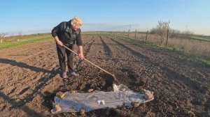 Губарева- ПОСАДИЛА ПОМИДОРЫ ЖИЗНЬ В ДЕРЕВНЕ