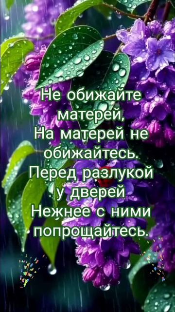 Не обижайте матерей...