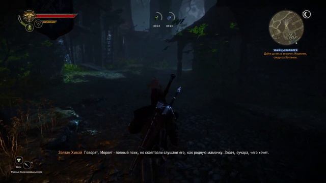 ПОБЕДИЛИ ЛЕТО?- THE WITCHER 2  ОДНА ЖИЗНЬ #7