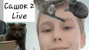 Сашок2 Live