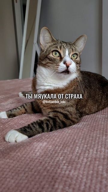 Ещё совсем малышка🥺