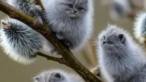 ДЕТИ-ВОЛЖАНЕ прислали видео! Наш УЖИН!