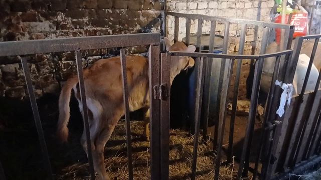 Большое дело сделали