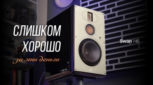 Обзор активной акустики за 100 тысяч рублей Swan H6