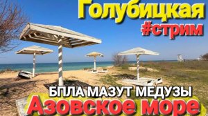 05.04.2026 #стрим Южный берег Азовского моря Погуляем в прямом эфире #Голубицкая