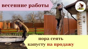 4 апреля посеяла капусту на продажу. Другие весенние работы. Архив.