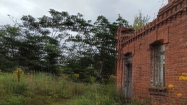 приморье 2021 смотреть онлайн