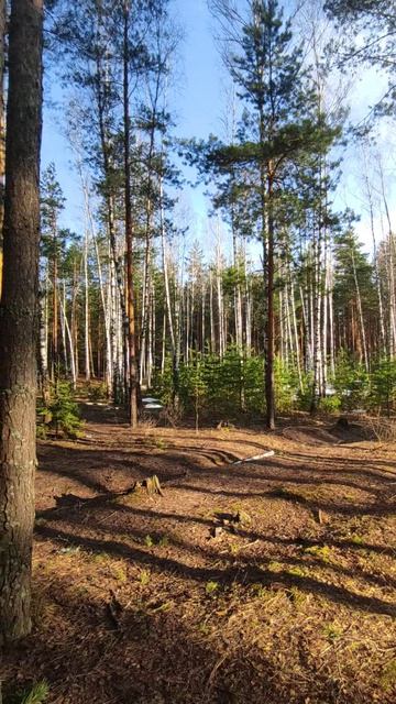 Весенний день