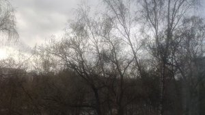 5 апреля. сегодня ждет вас такая погода но и солнце 🌞  ждите до вечера... без осадков местами...