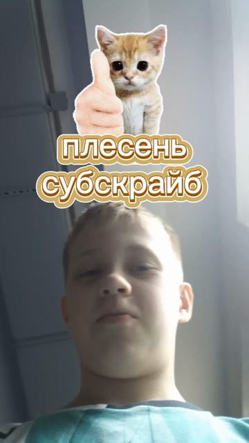 плесень субскрайб