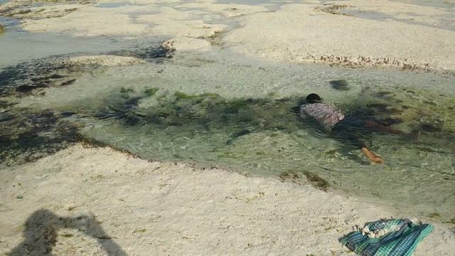 2021.03.27 Занзибар . Ловит осьминогов