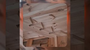 1000055109.mp4 (Собака наблюдает за устройством лестницы на 2-ой этаж в доме А-фрейм)