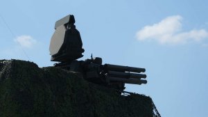 "Тольяттинский потрошитель" потребовал 300 тыс. рублей компенсации