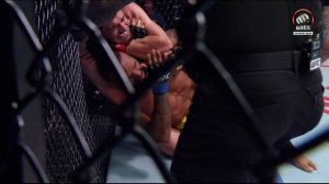 Абдул-Рахман Яхьяев против Брендсона Рибейро. UFC Fight Night