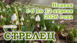 СТРЕЛЕЦ | ТАРО прогноз на неделю с 6 по 12 апреля 2026 года