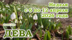 ДЕВА | ТАРО прогноз на неделю с 6 по 12 апреля 2026 года