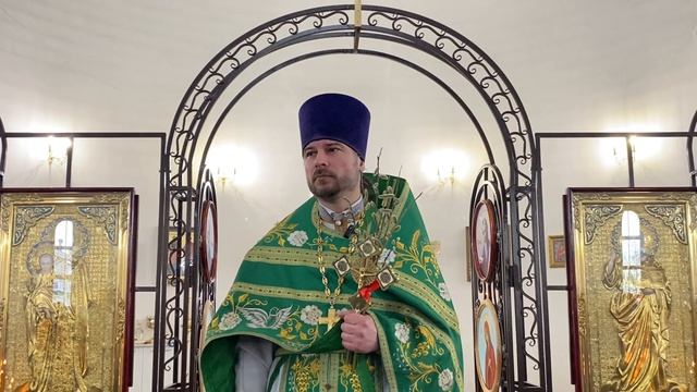 Проповедь на Вход Господень в Иерусалим. (05.04.2025).Протоиерей Димитрий Нестеренко.
