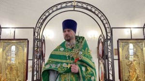 Проповедь на Вход Господень в Иерусалим. (05.04.2025).Протоиерей Димитрий Нестеренко.