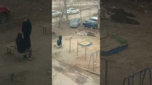 Люди гадят собаки срут...что делать?????