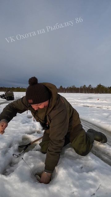 Проверяю жерлицы