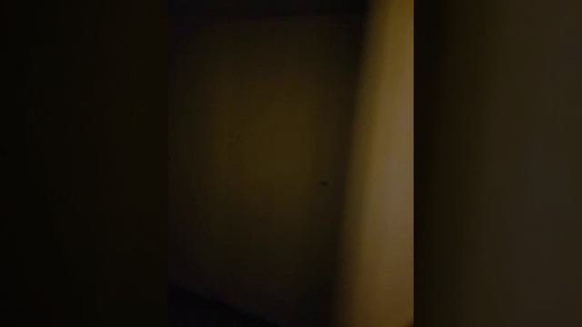 2018.08.04 Цюрих и ночевка в городке Люцерн