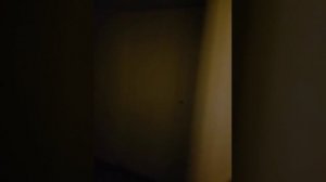 2018.08.04 Цюрих и ночевка в городке Люцерн