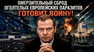 ЧЕТВЕРТЫЙ РЕЙХ ВОСКРЕС? Европа готовит армаду дронов, чтобы повторить 1941 год