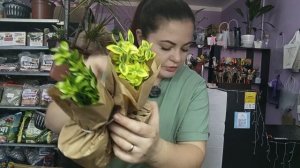 Новая распаковка растений из Голландии. Магазин Флора-Маркет от 05.04.2016