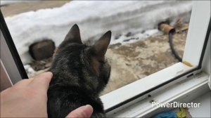 Жизнь аборигенки. Выходные дни. Домашние дела. Кто чем занят. 4.04.26.