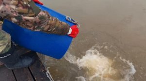 Зарыбление 05.04.2026