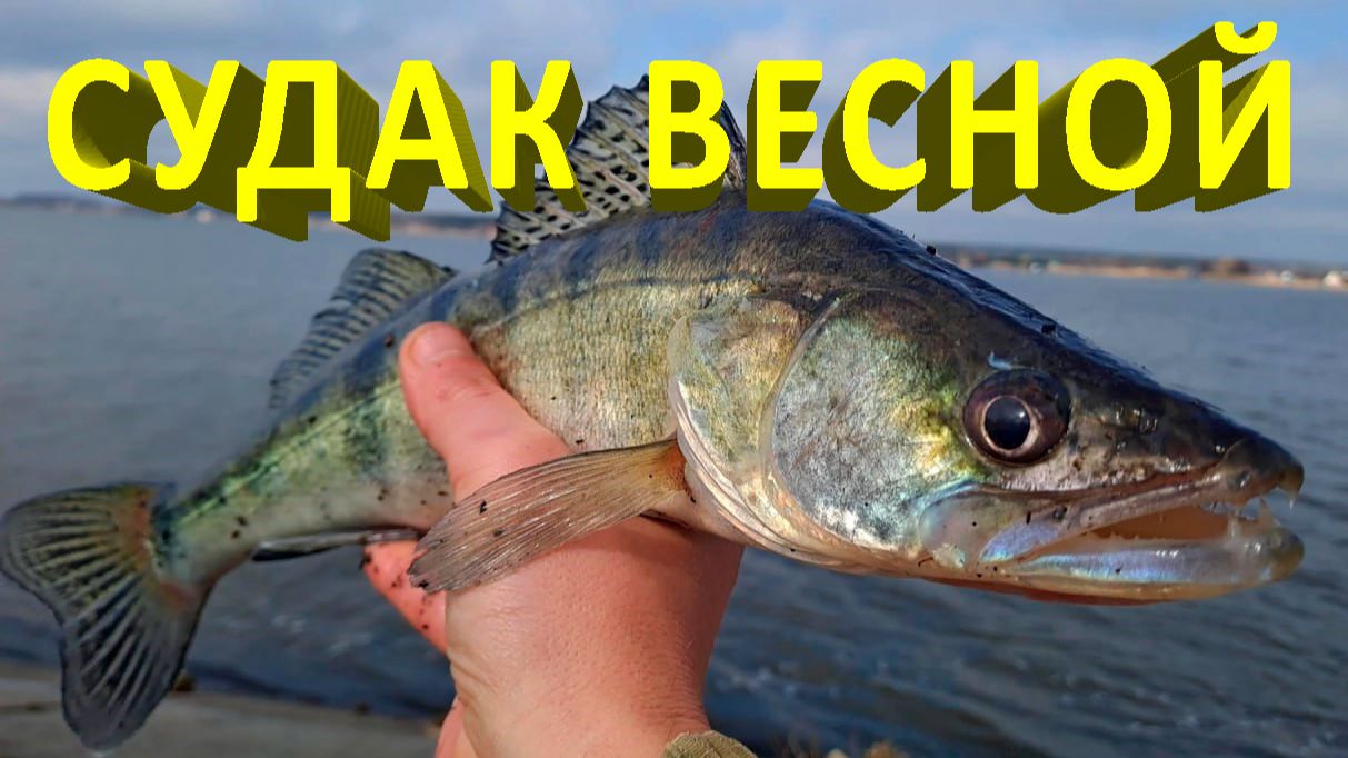 🔥 Как УГОВОРИТЬ весеннего СУДАКА? Битва за поклевку - на какой приманке судак сломался? 🔥