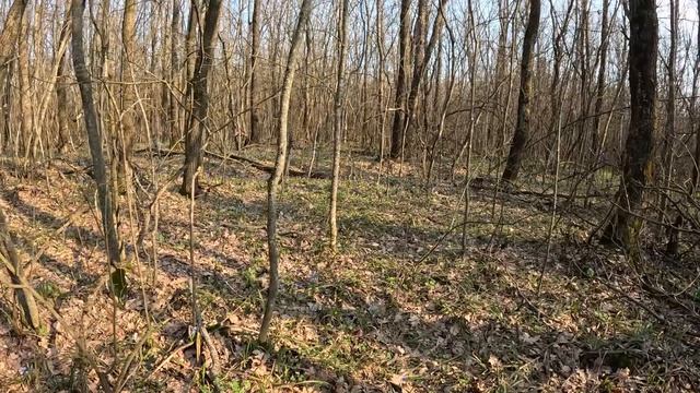 Отец отдыхает в деревне 04 04 2026г