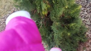 ||THE LONGEST VLOG|| Самый длинный влог? гуляем, кушаем🤍