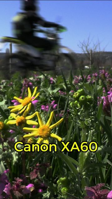 Canon XA60 Снимает Плохо? Вы Просто НЕ УМЕЕТЕ!