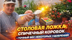 Сколько же граммов удобрений в столовой ложке, в спичечном коробке, в 10-ти мл. медицинского шприца
