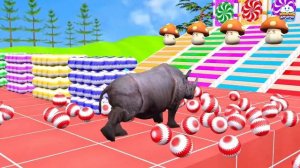 Мультики для детей и малышей. Смешная звериная ферма с Гусями и свинюшками. Мультики залипалки