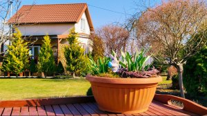 Весна перевернула наш дом 😳🌿 Сад ожил. Кухня кипит