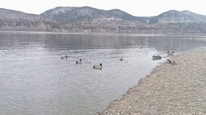 Выходной. Прогулка по набережной Енисея,мужской монастырь.