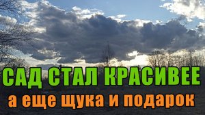 61. ПЕРЕЕХАЛИ В ДЕРЕВНЮ. САД СТАЛ КРАСИВЕЙ. А ЕЩЁ ЩУКА И ПОДАРОК СВОИМИ РУКАМИ.