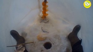 РЫБАЛКА НА МОРМЫШКУ ЗИМОЙ  Тест дешёвой экшн видеокамеры Aceline S 40