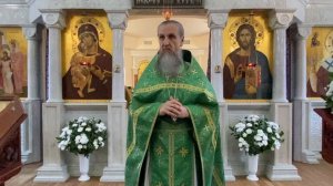 Почему чудо не меняет сердце человека? | Отец Игорь Бачинин