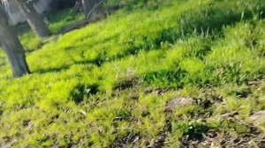 Паследняя часть