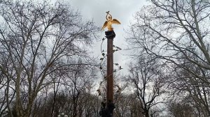 В Городском саду зимой. Краснодар.