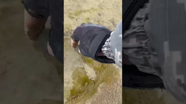 Цепи серебром))))