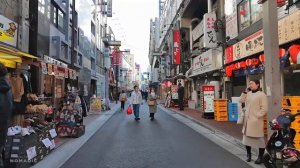 Токио Япония 2026 Прогулка по Икэбукуро Сибуе парку Миясита Акихабаре и Уэно