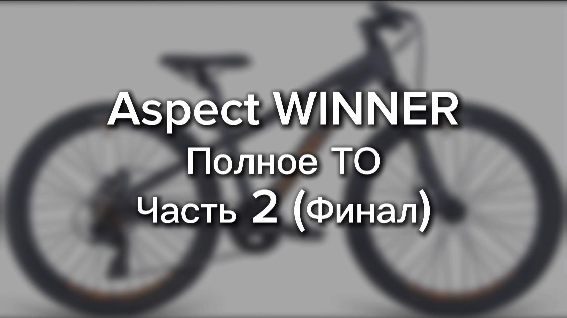 Aspect WINNER. Полное ТО. Часть 2. Сборка. Финал