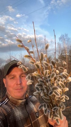 С Вербным воскресеньем ☀️ #Вербное #воскресенье #вербы