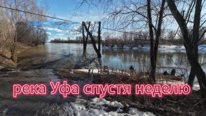 река Уфа, разлив спустя неделю, апрель 2026